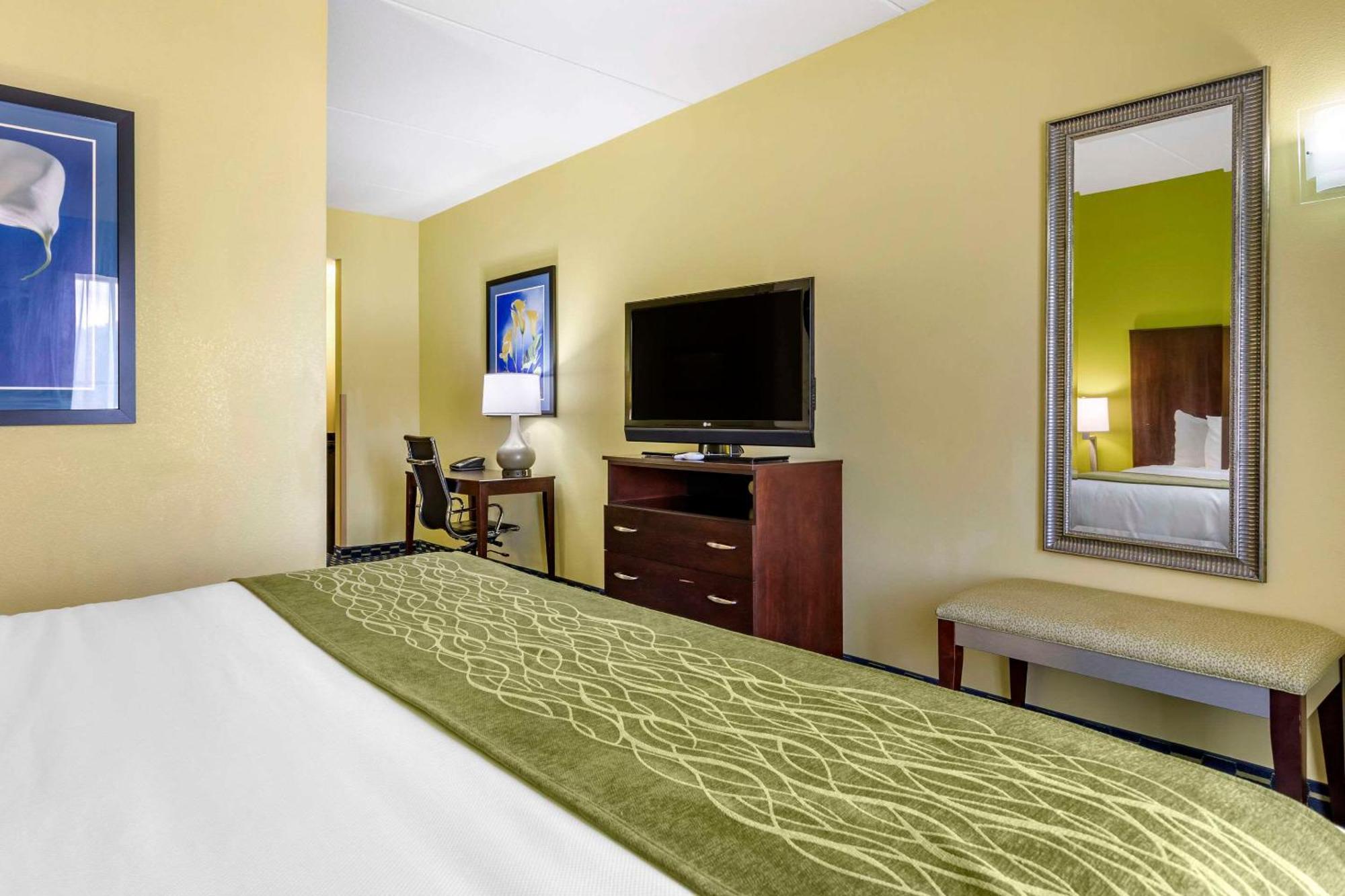 Comfort Inn Athens I - 75 Exterior photo