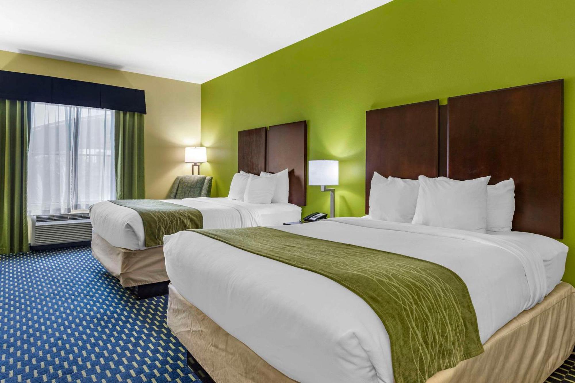Comfort Inn Athens I - 75 Exterior photo