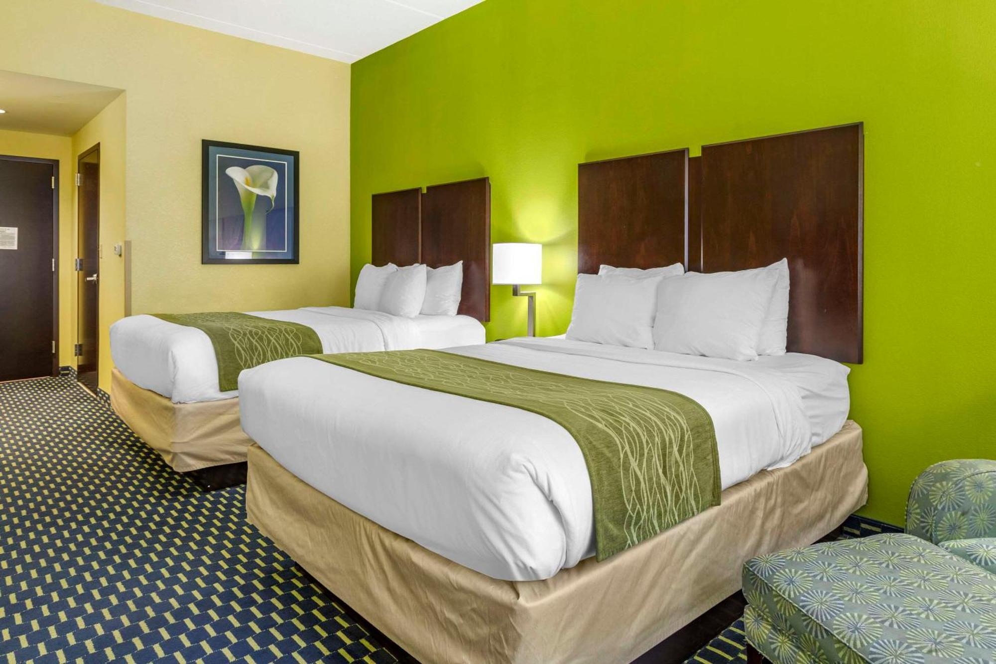 Comfort Inn Athens I - 75 Exterior photo