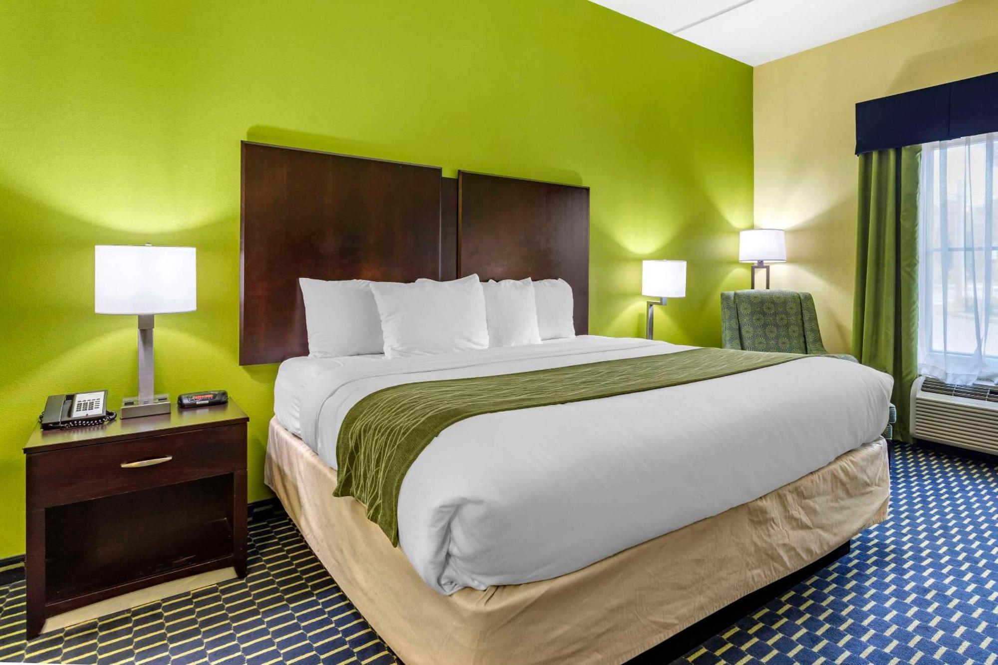 Comfort Inn Athens I - 75 Exterior photo