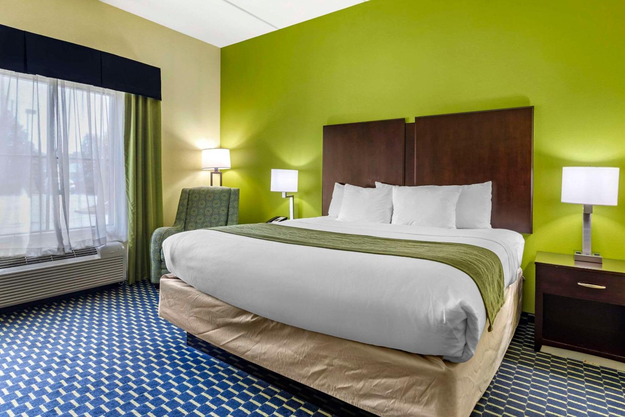 Comfort Inn Athens I - 75 Exterior photo