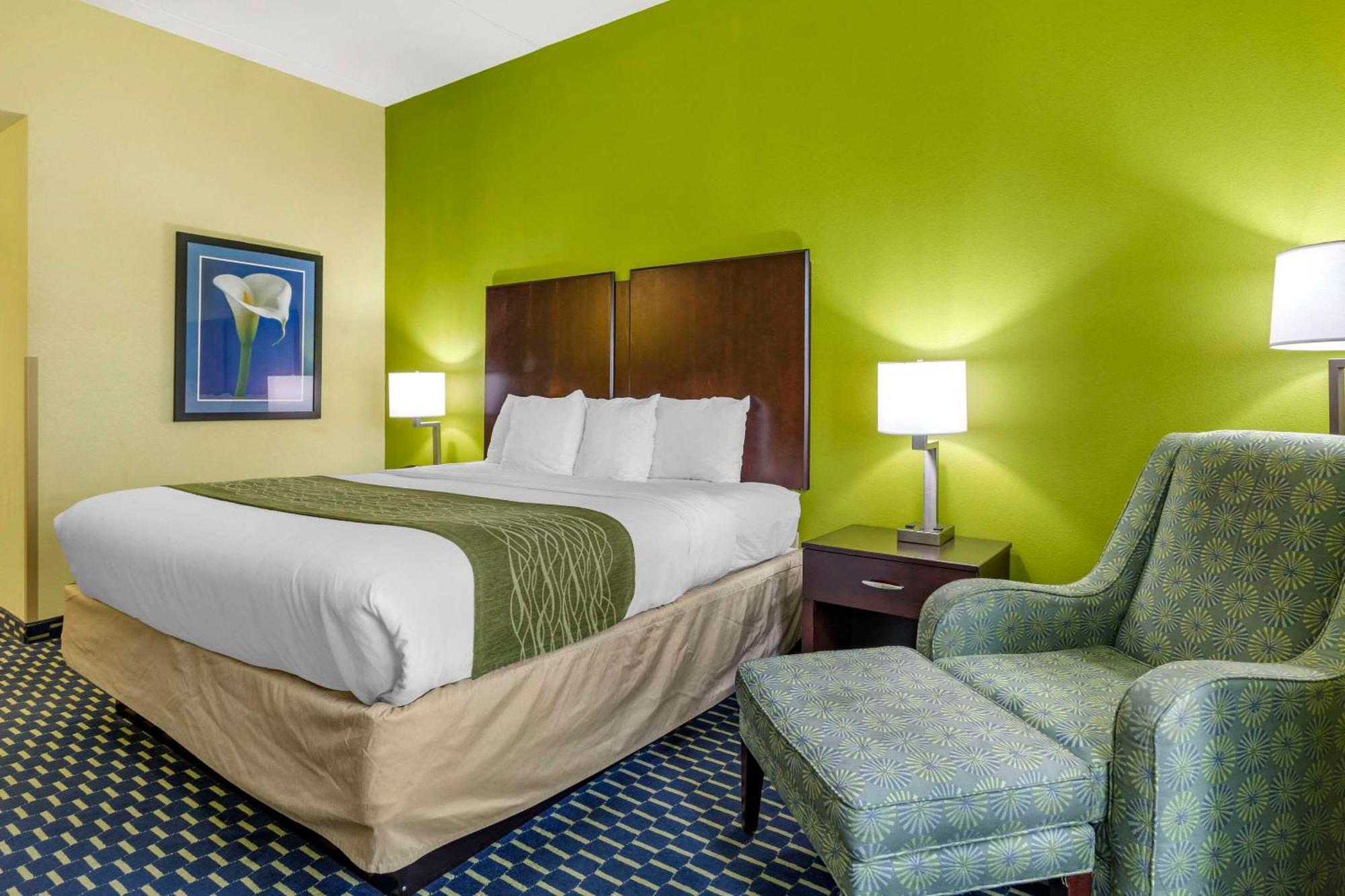 Comfort Inn Athens I - 75 Exterior photo